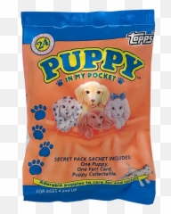 Puppy In My Pocket Surprise 1995 - In My 90s png