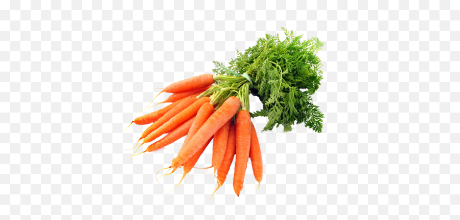 Download 8 Months Ago 1169 121 - Carrots Png,Carrot Transparent Background