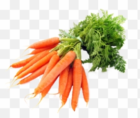 Download 8 Months Ago 1169 121 - Carrots Png,Carrot Transparent Background