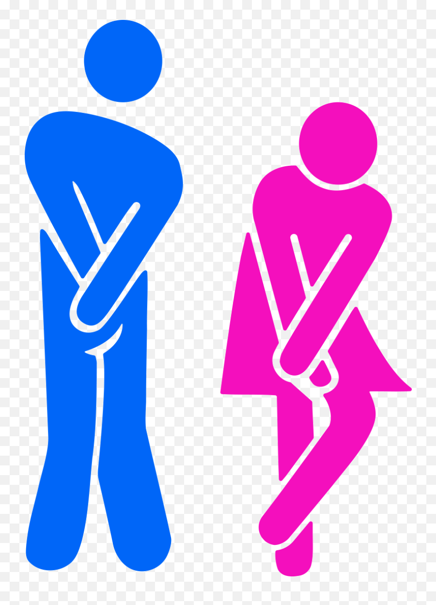 Wall Decal Door Toilet Blue And Pink Woman - Toilet Logo House Png,Ladies Toilet Icon