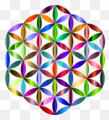 Flower Of Life Sacred Geometry - Flor De La Vida Png,Flower Of Life Png