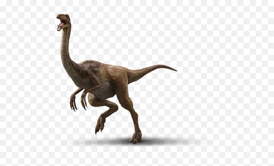 Gallimimus - Jurassic World Evolution Gallimimus Png,Jurassic World Png