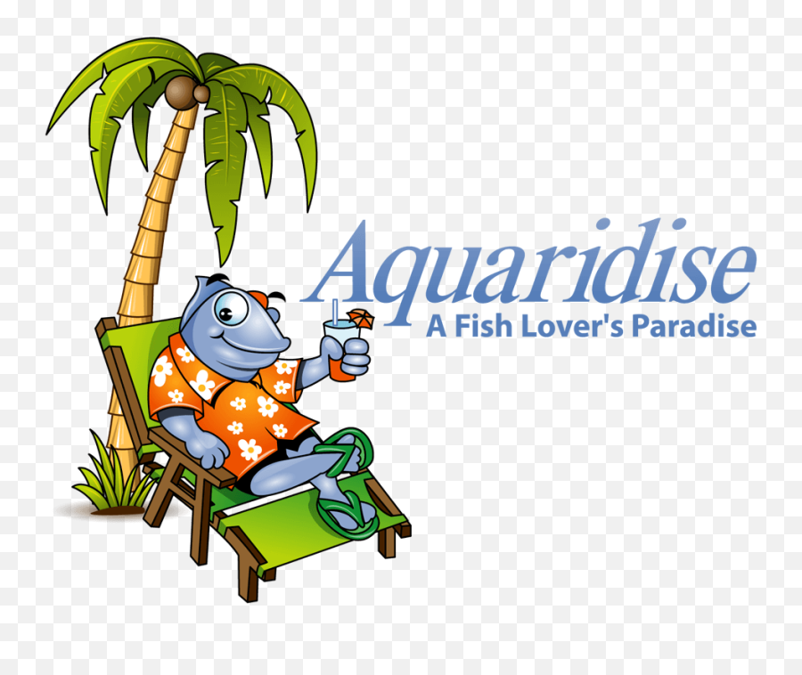 Tropical Fish Store Aquarium Shop - Aquarium Png,Tropical Fish Png