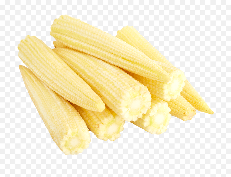 Baby Corn Cobs Png Image - Baby Corn Images In Png,Corn Cob Png