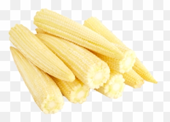 Baby Corn Cobs Png Image - Baby Corn Images In Png,Corn Cob Png