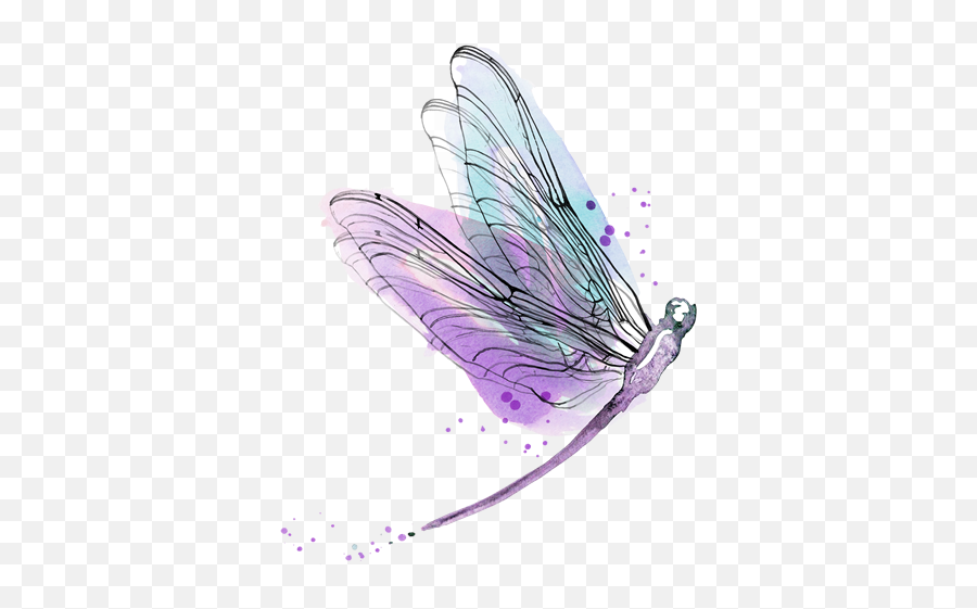 Saturday November 17 2018 All - Day Trance Workshop Watercolor Dragonfly Transparent Background Png,Dragonfly Transparent Background