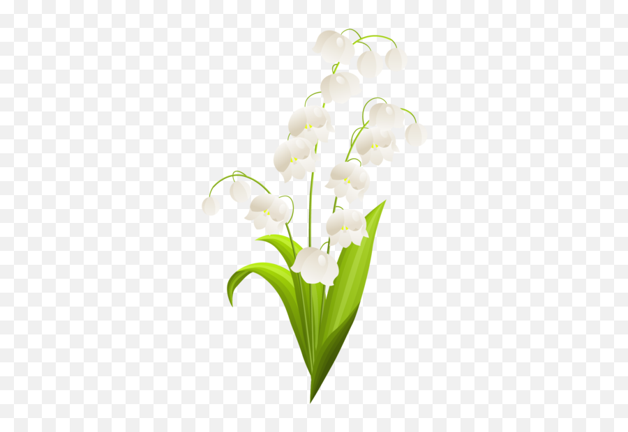 User Blogmagical Sea Corgitribe Of The Valley Lily - Lily Of The Valley Watercolor Png,Lily Of The Valley Png
