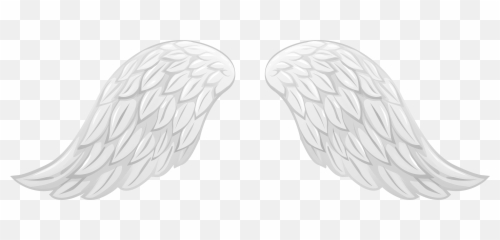Free Transparent White Angel Wings Png Images Page 1 Pngaaa Com