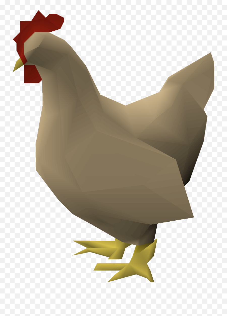 Chicken - Osrs Chicken Png,Chickens Png