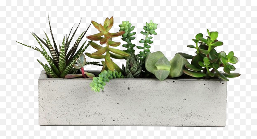 Concrete Planter - Window Sill Planter Png,Planter Png