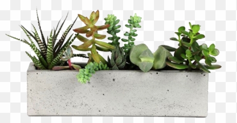 Concrete Planter - Window Sill Planter Png,Planter Png