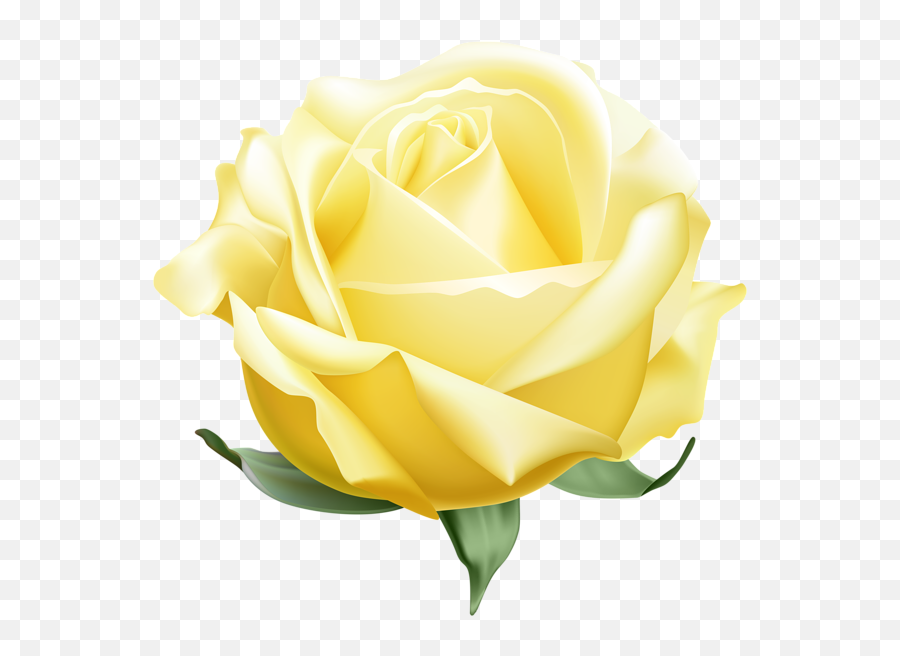 Yellow Open Rose Png Clipart Em 2020 - Pink Open Rose Png,Yellow Rose Png