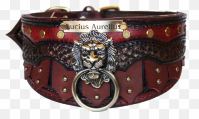 Trojan Png - Solid,Dog Collar Png