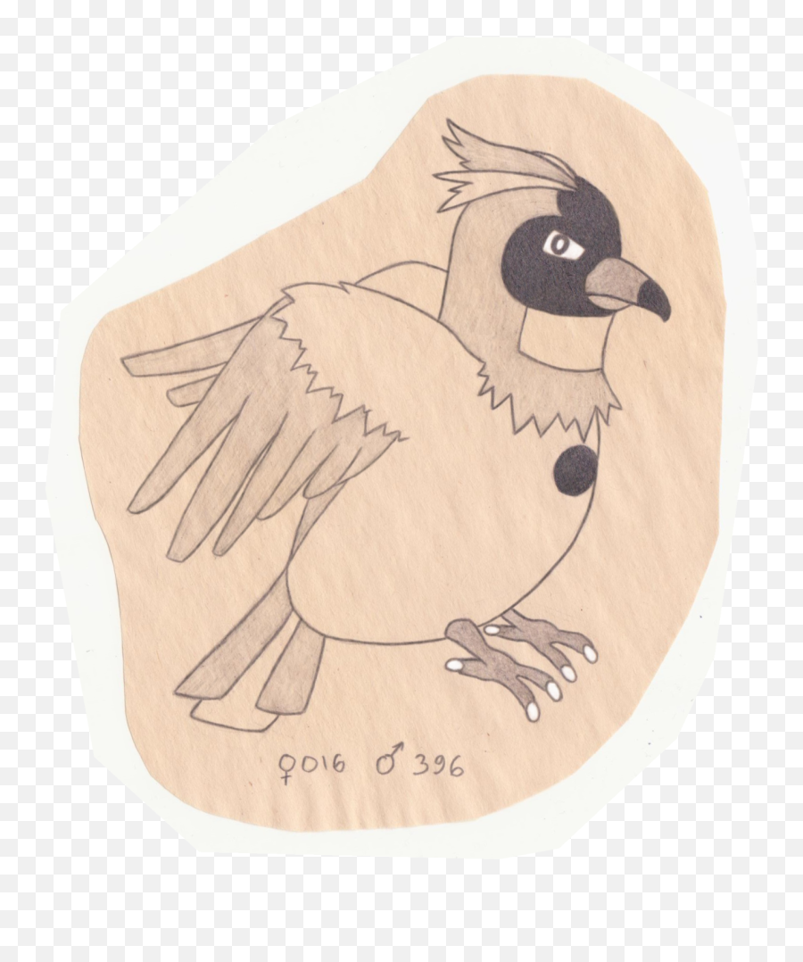 The Pokemon Ornithologist Pidgey - Junco Png,Pidgey Png