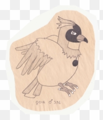 The Pokemon Ornithologist Pidgey - Junco Png,Pidgey Png