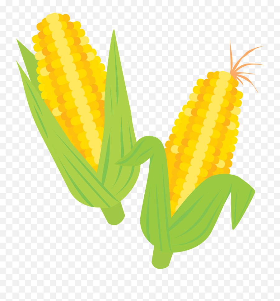 Ears Of Corn Clipart Free Download Transparent Png Creazilla Plant
