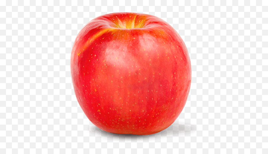 Download Hd Gala Apples Png - Jumbo Fuji Apple,Apples Transparent Background