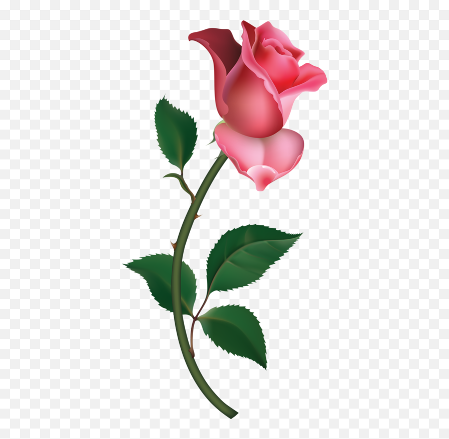 Single Rose Clipart - Single Pink Rose Png,Single Rose Png