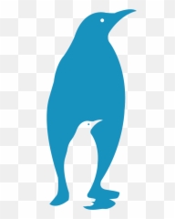 Participation - Penguin png