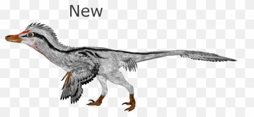 Download Velociraptor Tycoon Animals - Zoo 2 Remake png