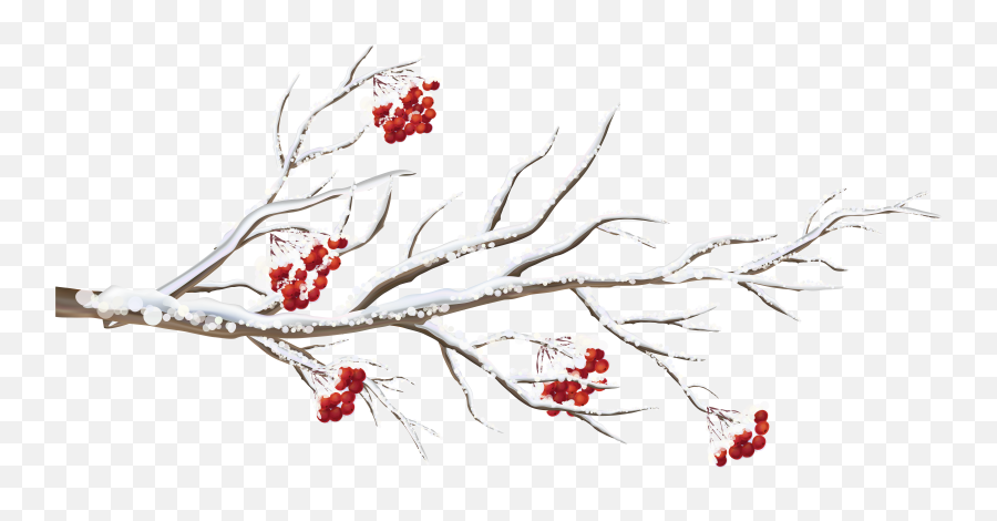 Pomegranate Clipart Branch Picture 1941886 - Winter Tree Branch Png,Tree Branches Png