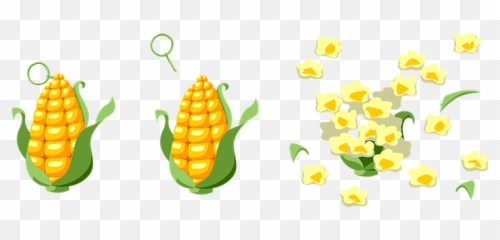 Kellyu0027s Classroom Online Dancing Popcorn Science And Stem - Milho E Pipocapng Png,Popcorn Kernel Icon