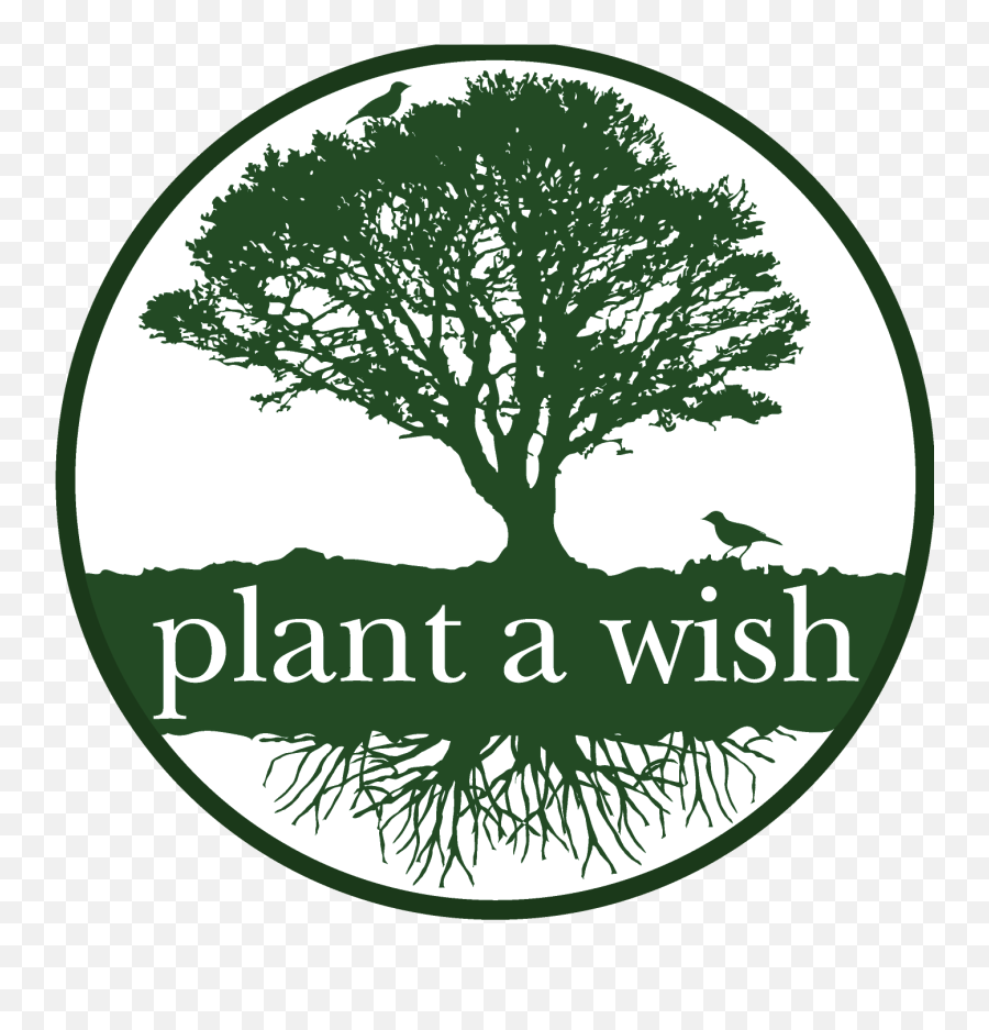 New Plant A Wish - Logo For Tree Planting Png,Wish Logo Png
