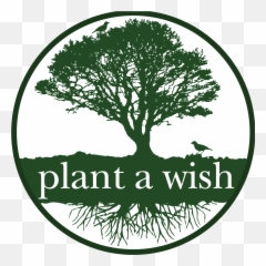 New Plant A Wish - Logo For Tree Planting Png,Wish Logo Png