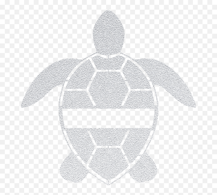 Personalized Sea Turtle - Precision Metal Art Novara Calcio Png,Turtle Shell Icon