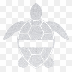 Personalized Sea Turtle - Precision Metal Art Novara Calcio png