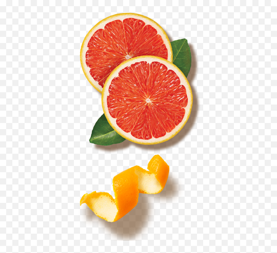 Floridau0027s Natural Orange Juice U2013 The Best Brand - Orange Juice Png,Orange Png