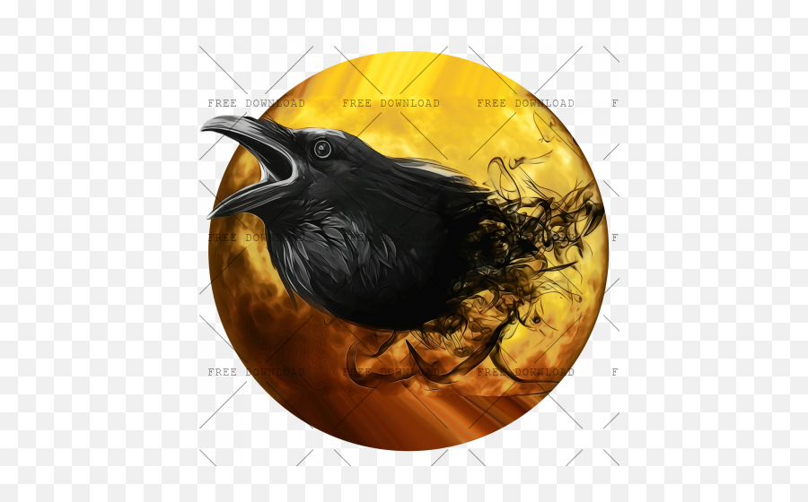 Crow Bird Png Image With Transparent Background - Photo 747,Crow Png