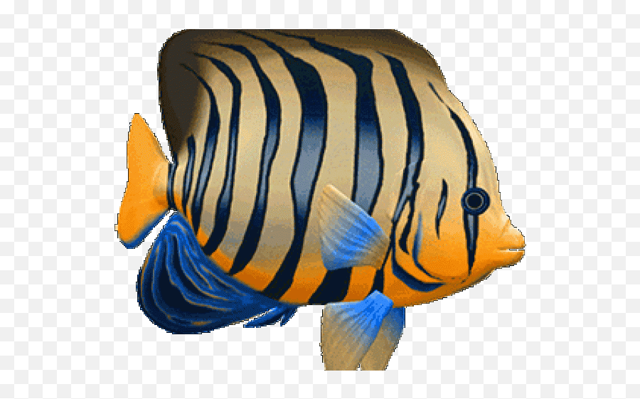 Tropical Fish Clipart 3d - Peces Gif Animados Png Coral Reef Fish,Fish Clipart Png