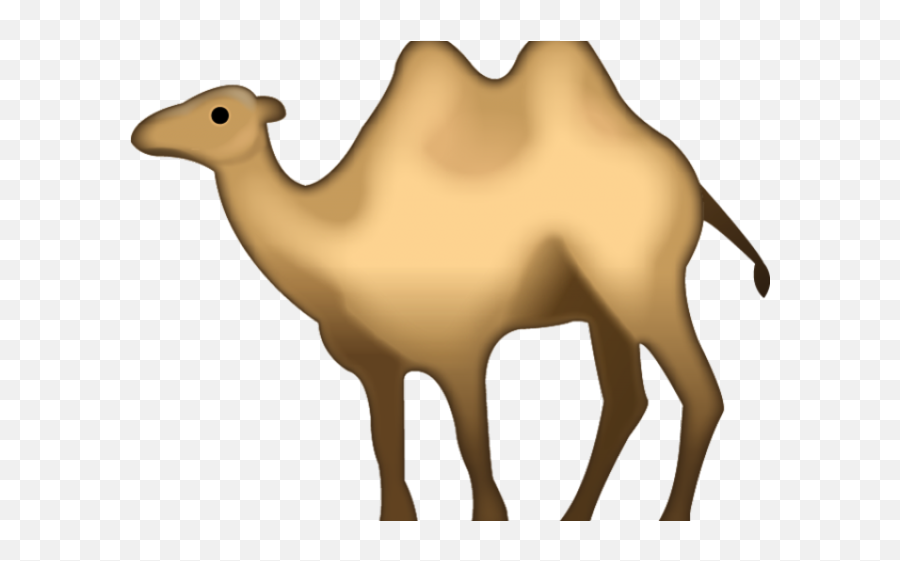 Camel Emoji Transparent - Png Camel Emoji,Camel Png