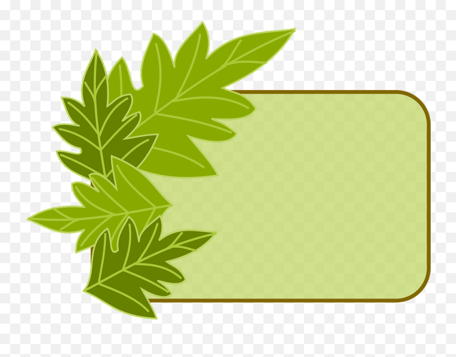 Border Green Leaves - Clip Art Herb Border Png,Leaf Frame Png