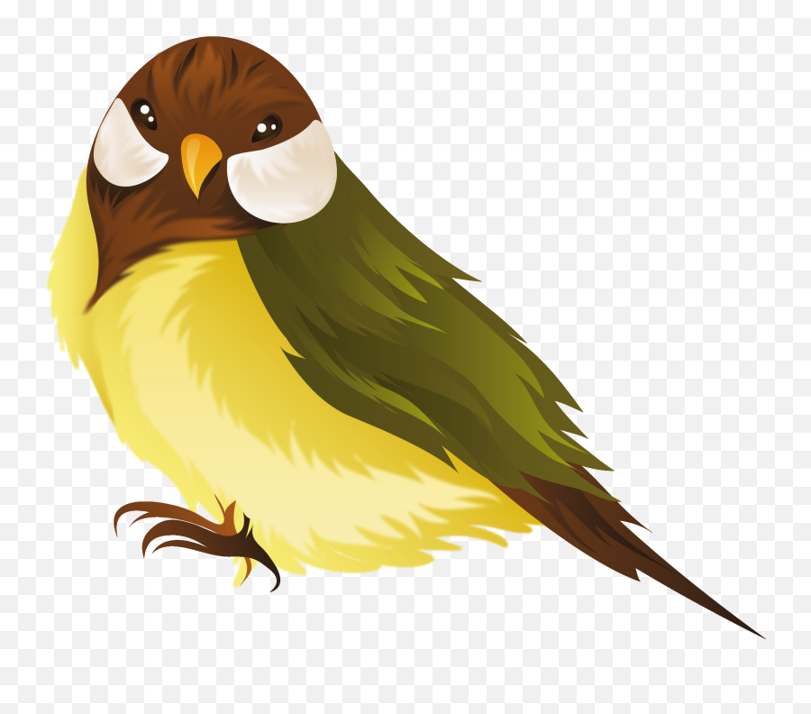 Name Clipart Bird Transparent Free For Download - Cartoon Birds Png With Transparent Background,Kiwi Bird Png