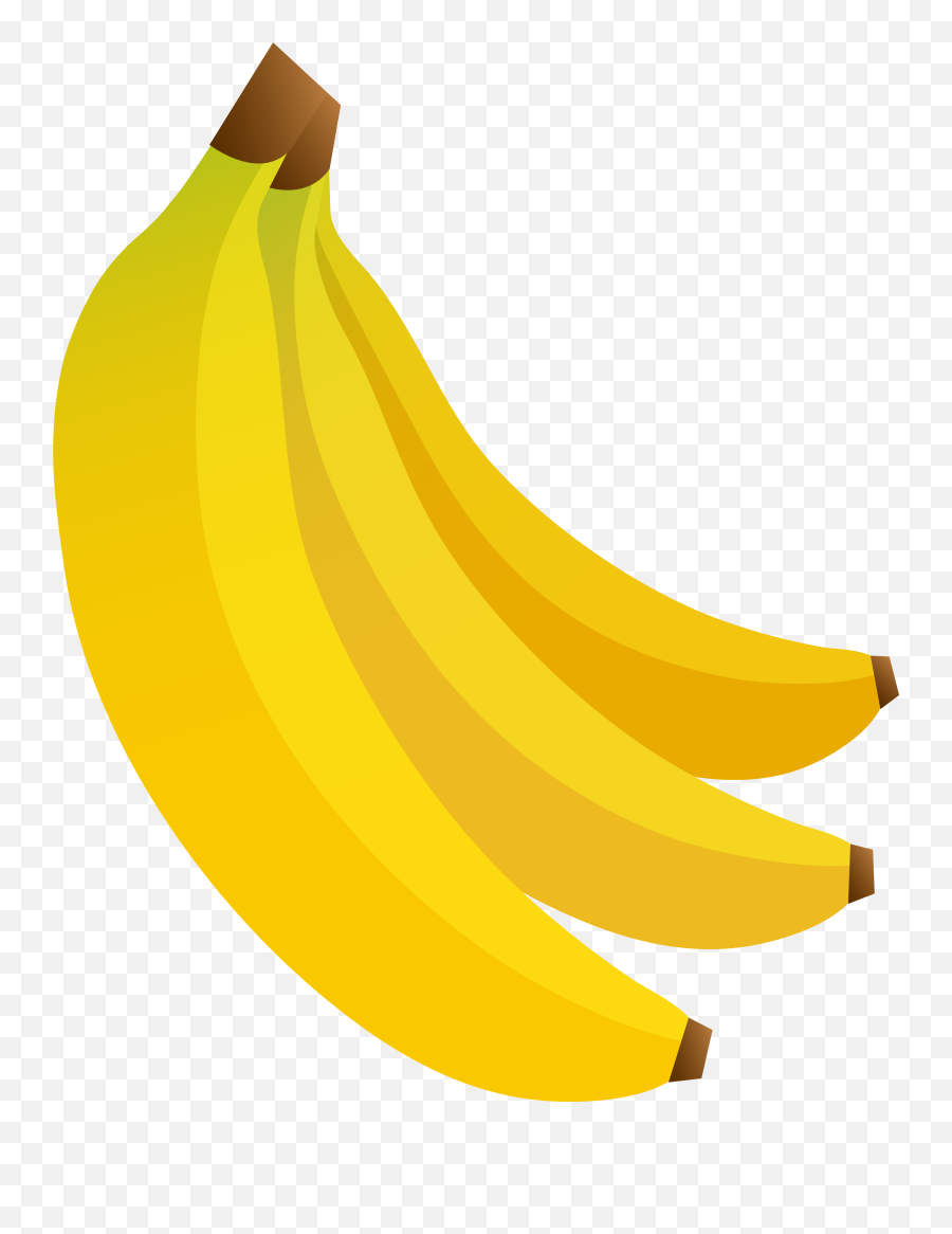 Download Hd Clipart Of Bunch Ripe And Banana - Saba Banana Saba Banana Png,Banana Clipart Png