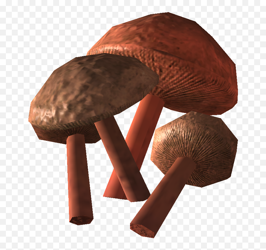 Download Cave Fungus - Cave Fungus Png,Fungi Png
