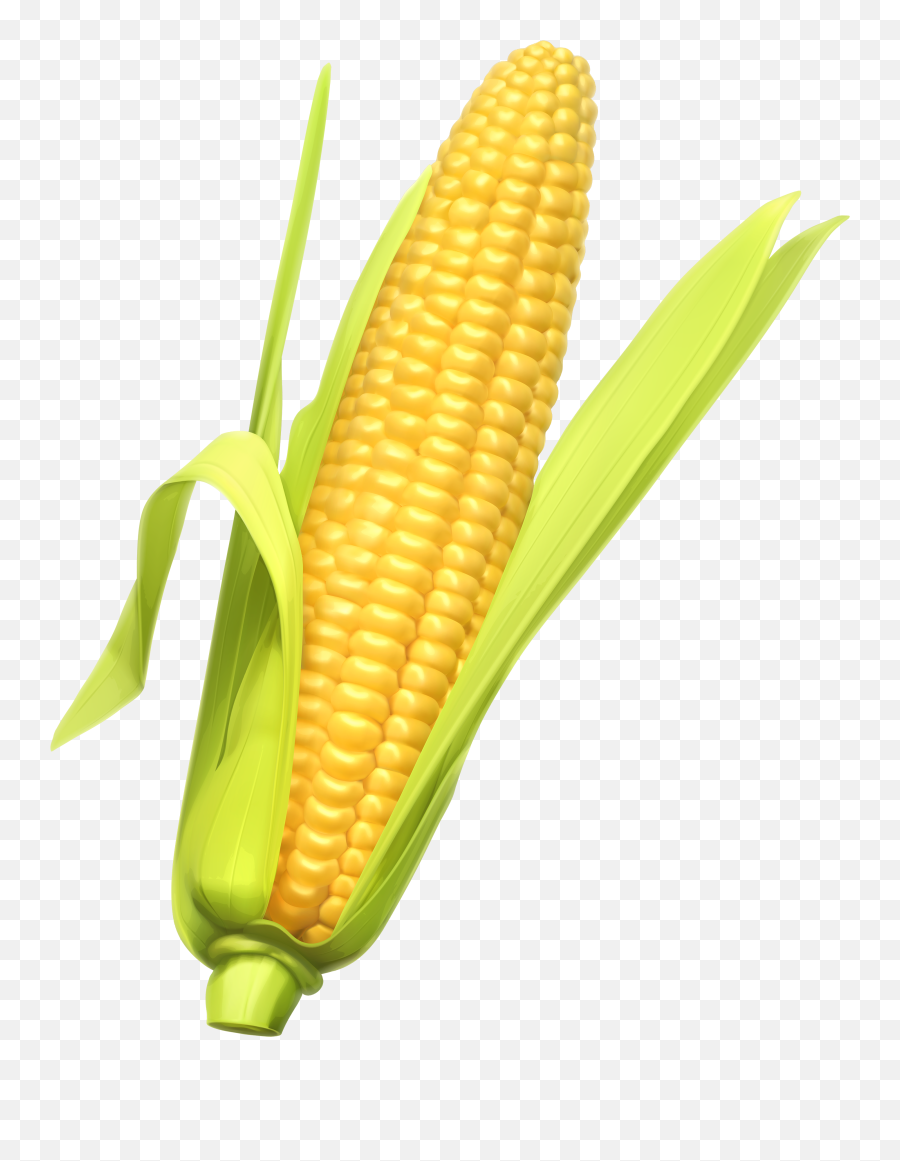 Corn Kernel Transparent Png Clipart - Corn Clipart Png,Corn Cob Png