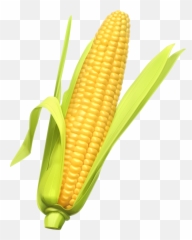 Corn Kernel Transparent Png Clipart