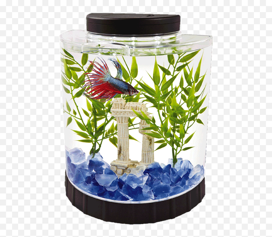 Download Tetra 2 Gallon Fish Tank - Fish Tank For Betta Png,Fish Tank Png