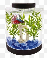 Download Tetra 2 Gallon Fish Tank - Fish Tank For Betta Png,Fish Tank Png