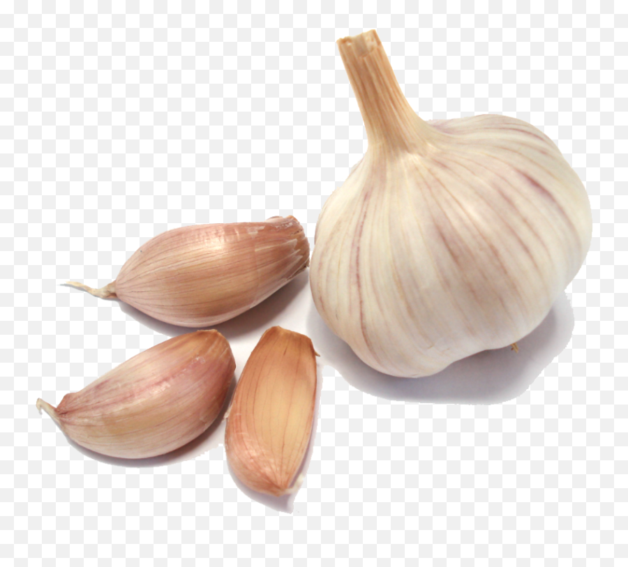 Garlic Png Transparent Images - Garlic Png Transparent,Garlic Transparent Background