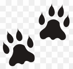 Paw Clip Art Transparent Background Png