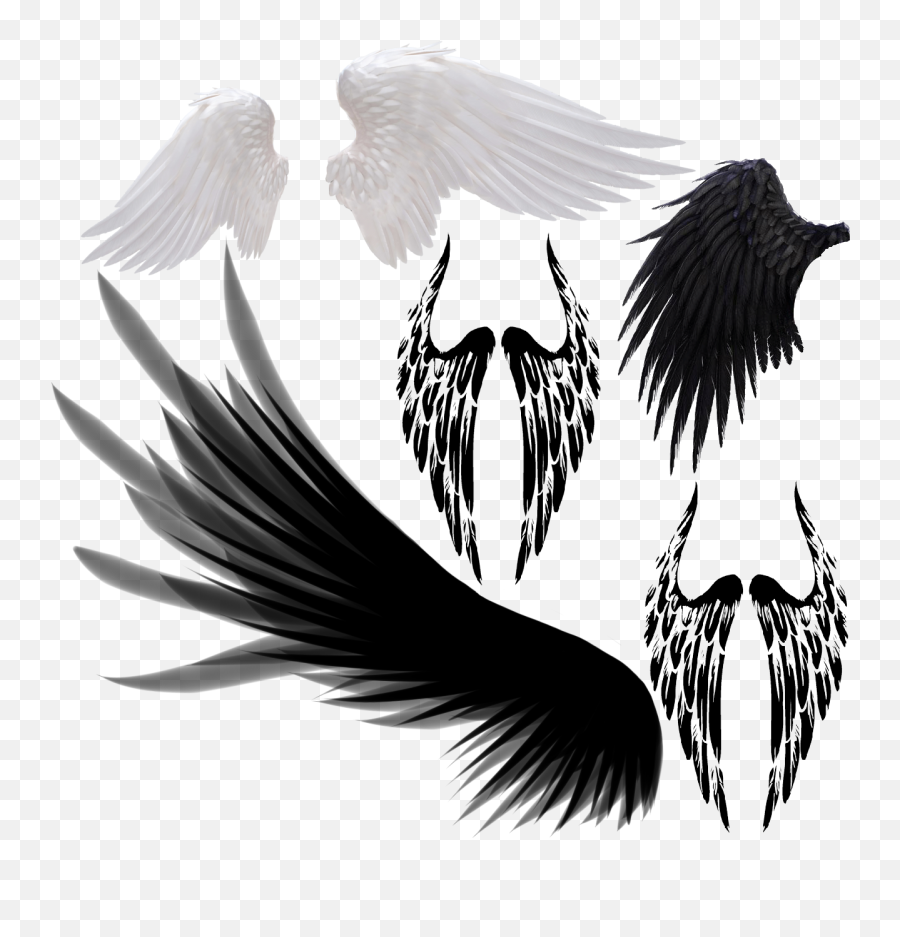 Devil Wings Png - Bird Wings Transparent Background Wings Png,Devil Transparent Background