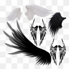 Devil Wings Png - Bird Wings Transparent Background Png