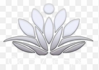 Coolsculpting Santa Rosa - Reduce Stubborn Body Fat Nelumbonaceae png