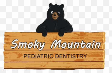Pediatric Dentist In Lenoir City Tn - Dr Kate Malone Smoky Mountain Dentistry png