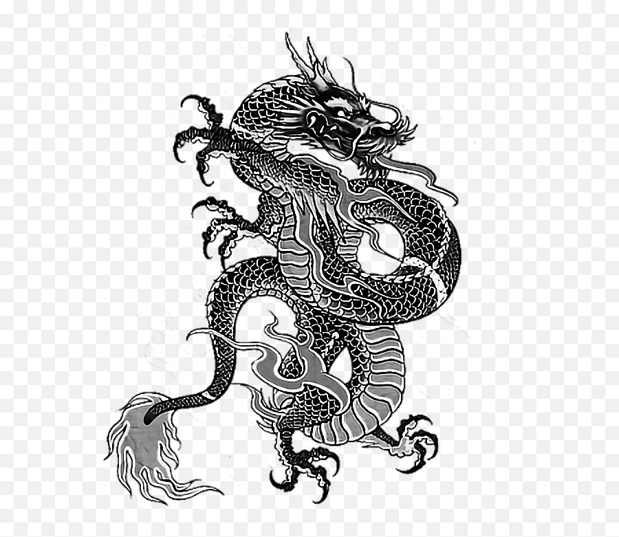 Download Tattoo Irezumi Dragon Dragonballz Yakuza Ninja - Dragon Traditional Japanese Art Png,Yakuza Logo