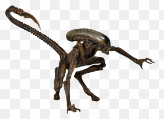 Alien Png Transparent Images - Neca Dog Alien,Alien Transparent
